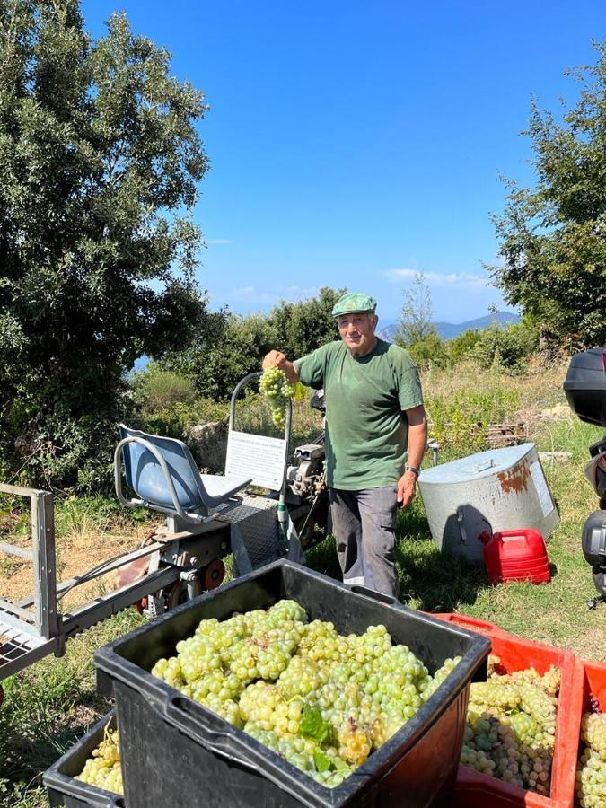 I Tre Grappoli Villa Corniglia Ngoại thất bức ảnh