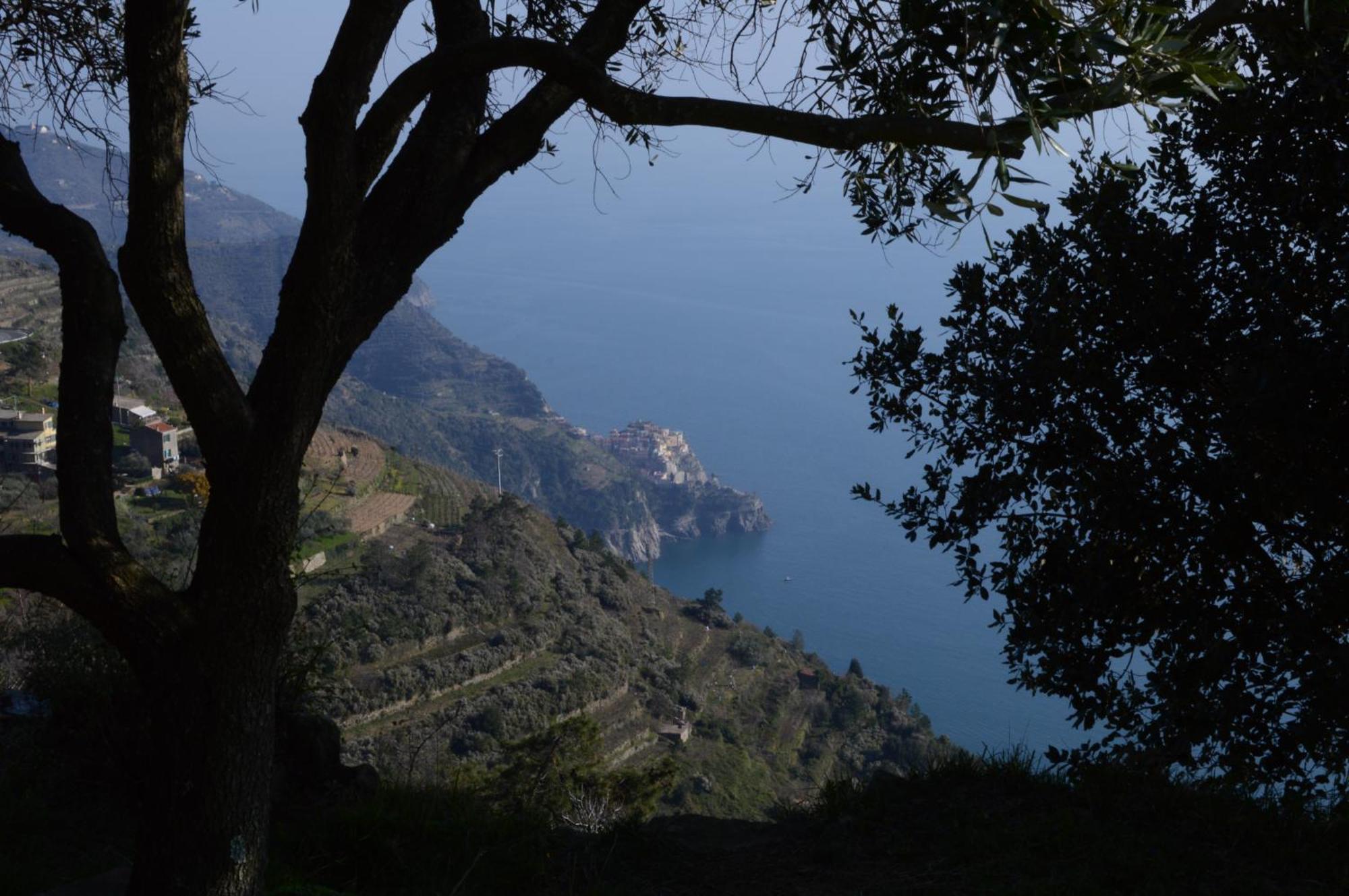 I Tre Grappoli Villa Corniglia Ngoại thất bức ảnh