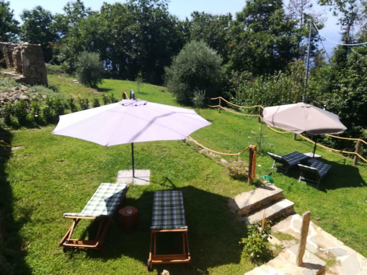 I Tre Grappoli Villa Corniglia Ngoại thất bức ảnh