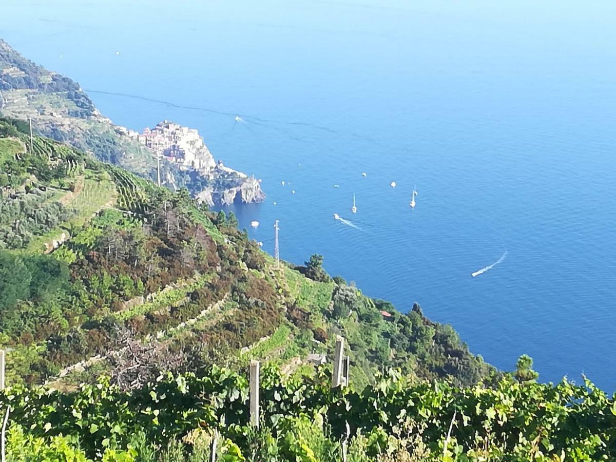 I Tre Grappoli Villa Corniglia Ngoại thất bức ảnh